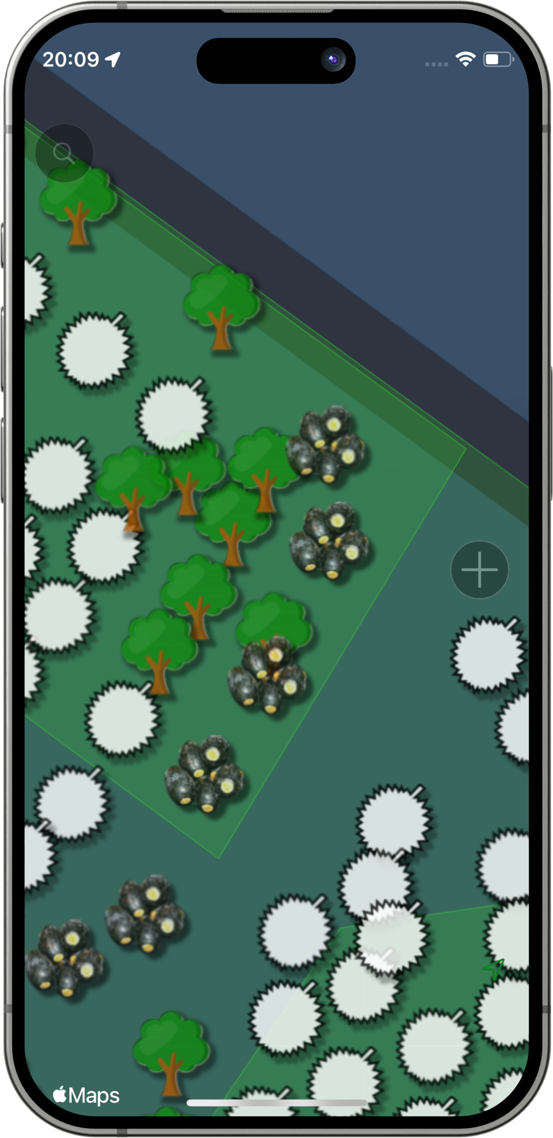 Fruit Forest App, Mapping Trees